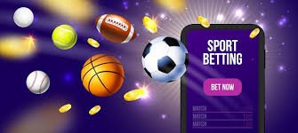 922bet6